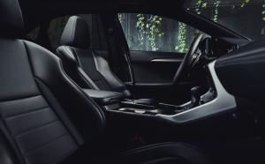 Lexus NX300 F-Sport Black Line 2019 года  (NA)